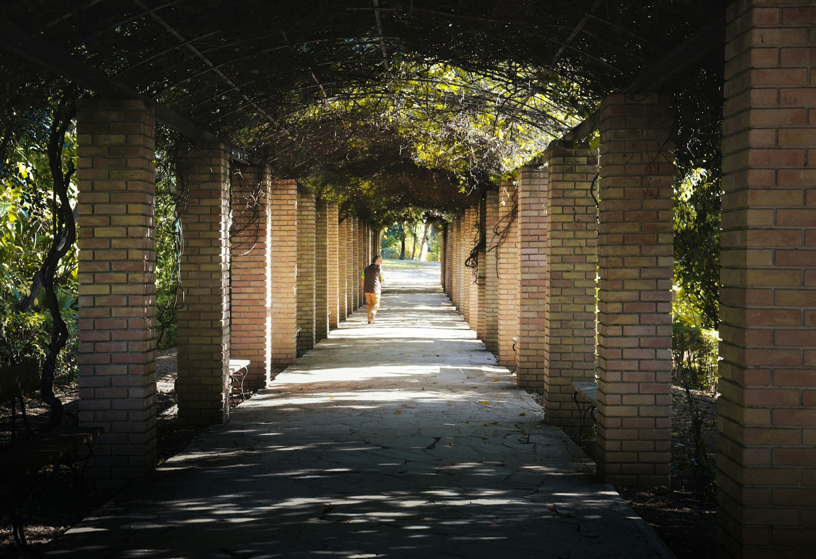 A shaded walk through the National Gardens of Athens
