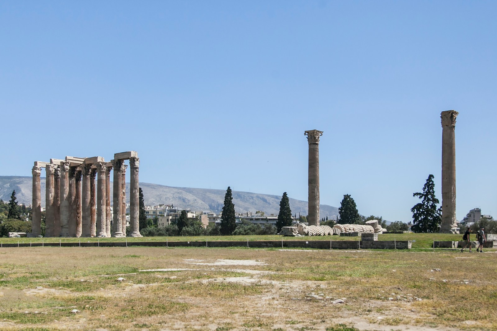 Columns of the Temple of Olympian Zeus with the Acropolis behind