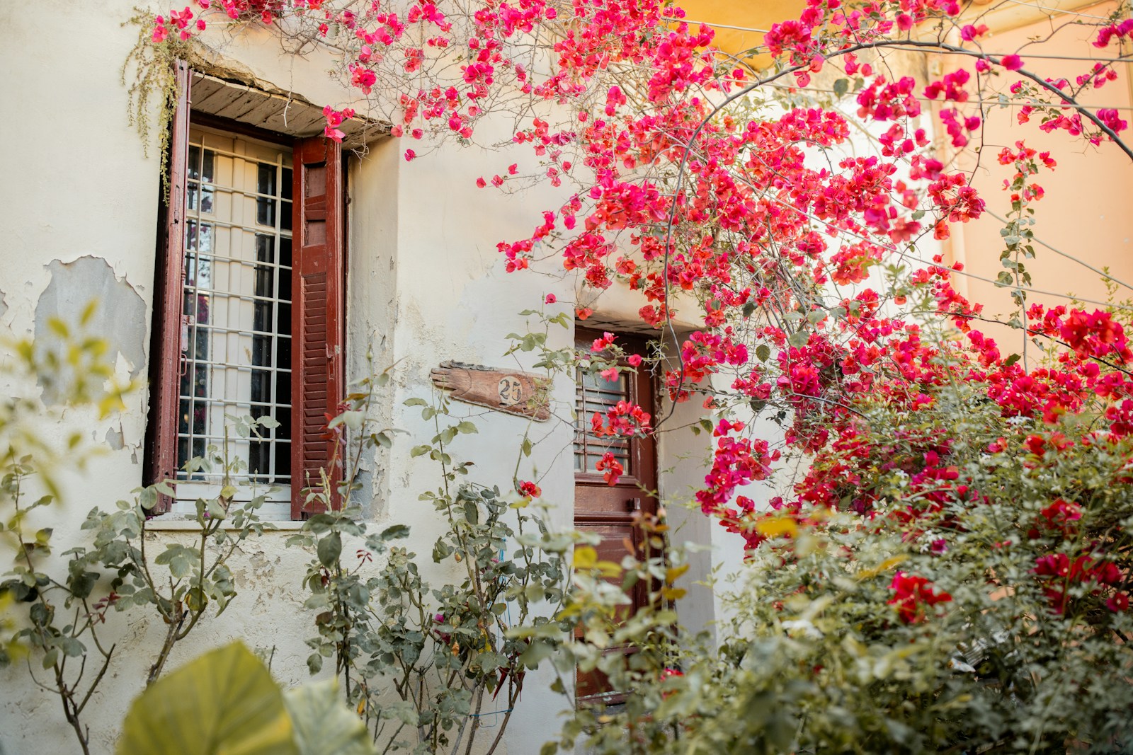 A Plaka street with red bougainvillea on a neoclassical building